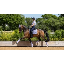 LeMieux Polo Bandages Loire | Set Van 4 -Equestrian Supply Store it02672 lifestyle loireclassicdressagesquare wisteria 1 ws