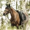 Kentucky Zadeldek | Pearls | DR -Equestrian Supply Store kentucky 42572 zadeldoek pearls dressage zwart2