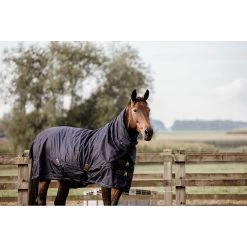 Kentucky Deken All Weather | Pro | 300G -Equestrian Supply Store kentucky 52109 turnout rug all weather 300g 2