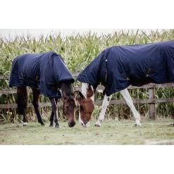 Kentucky Deken All Weather | Pro | 300G -Equestrian Supply Store kentucky 52109 turnout rug all weather 300g