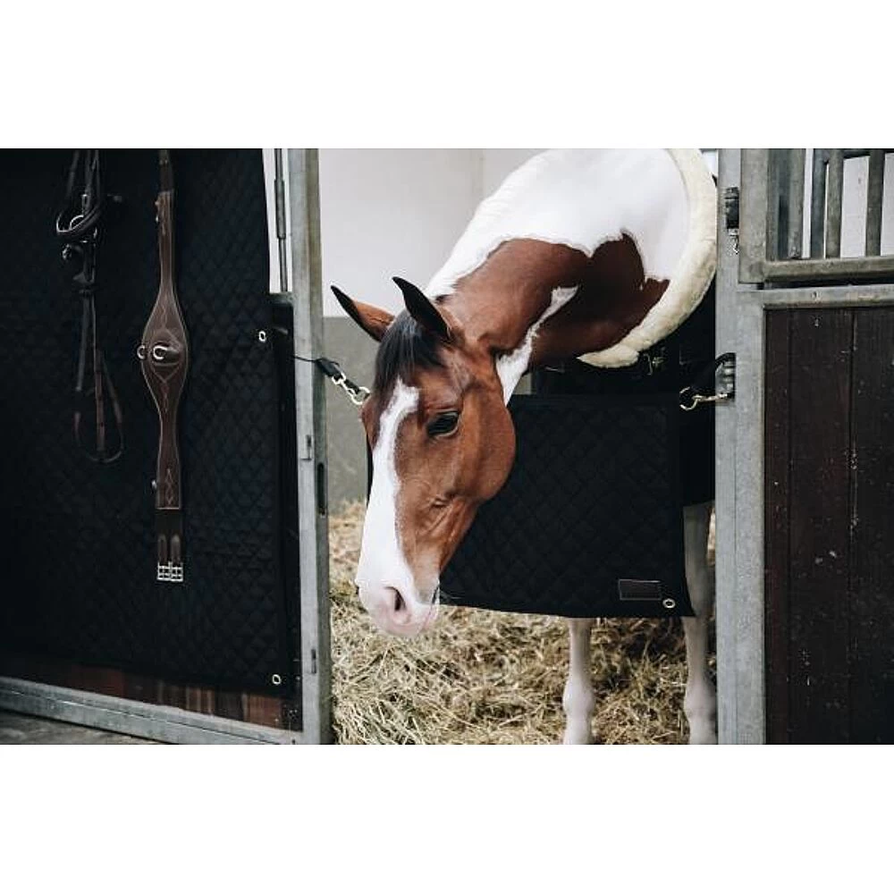 Kentucky Deurafsluiting 4 Kentucky Deurafsluiting - Image 2