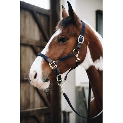 Kentucky Halster | Gevlochten Nylon -Equestrian Supply Store kentucky halster plaited nylon blauw