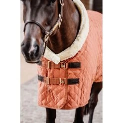 Kentucky Showdeken | 160G -Equestrian Supply Store kentucky horsewear showrug autumn orange showdeken
