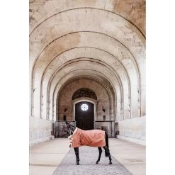 Kentucky Showdeken | 160G -Equestrian Supply Store kentucky horsewear showrug showdeken autumn orange