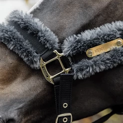 Kentucky Halster | Nylon + Wol 27 Kentucky Halster | Nylon + Wol -Equestrian Supply Store kentucky nylon sheepskin halter grey3