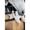 Kentucky Relax Paardenspeelgoed | Eenhoorn Fantasy 1 Kentucky Relax Paardenspeelgoed | Eenhoorn Fantasy -Equestrian Supply Store kentucky relax horse toy unicorn 82145 2