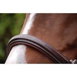 Dy'on Lederen Halster -Equestrian Supply Store licol cuir201