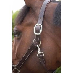Dy'on Lederen Halster -Equestrian Supply Store licol cuir202
