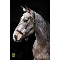 LJ Halster | Zacht Leder Onderlegd