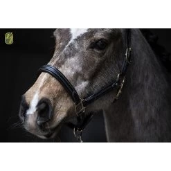 LJ Halster | Zacht Leder Onderlegd -Equestrian Supply Store lj leathers halster soft 21401 1615431