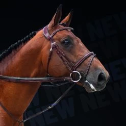 LJ Full Jump Assist | Met Koord