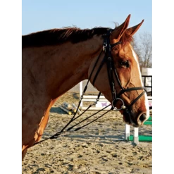 LJ Gogue -Equestrian Supply Store lj501choc