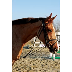 LJ Gogue -Equestrian Supply Store ljleathers gogue 501