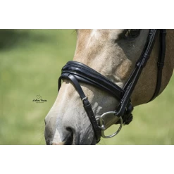 Hoofdstel Argento | Lak Aansnoer Neusiem 7 Hoofdstel Argento | Lak Aansnoer Neusiem -Equestrian Supply Store neus