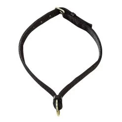 Norton Paardenhalsband