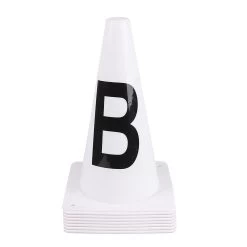 QHP Dressuur Pionnen