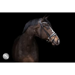 LJ Pro Selected Serrento Trens Rond Genaaid