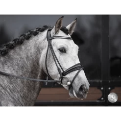 LJ Pro Selected Serrento Trens Rond Genaaid -Equestrian Supply Store serrento3