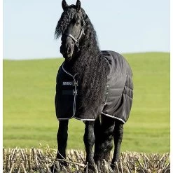 Rambo Staldeken | 200G 10 Rambo Staldeken | 200G -Equestrian Supply Store stable rug HFHOR02