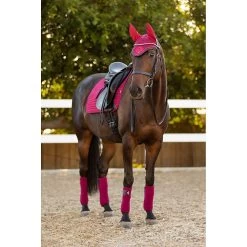 LeMieux Zadeldek Suede | DR 34 LeMieux Zadeldek Suede | DR -Equestrian Supply Store tracyrobertson lmcore22 098