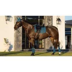 LeMieux Zadeldek Suede | DR 24 LeMieux Zadeldek Suede | DR -Equestrian Supply Store tracyrobertson lmwinter2022 106