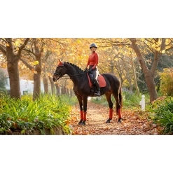 LeMieux Zadeldek Suede | DR 36 LeMieux Zadeldek Suede | DR -Equestrian Supply Store tracyrobertson lmwinter2022 130