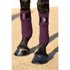 LeMieux Polo Bandages Loire | Set Van 4 -Equestrian Supply Store tracyrobertson lmwinter2022 139
