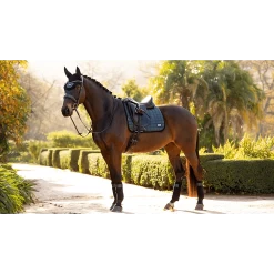 LeMieux Polo Bandages Rhone | Set Van 4 -Equestrian Supply Store tracyrobertson rhone2021 024 1