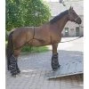 Transporteerhulp 2 Transporteerhulp -Equestrian Supply Store transporteerhulp 6178200 1