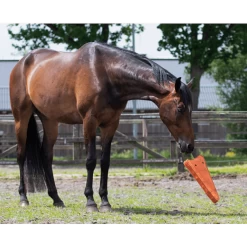 QHP Paardenspeelgoed | XL -Equestrian Supply Store wortel2