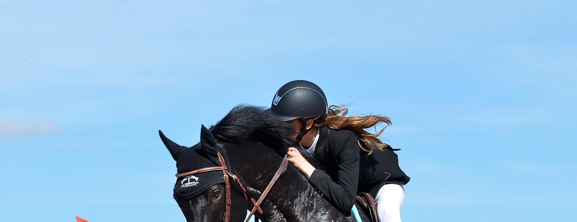 Equestrian Supply Store -Equestrian Supply Store horse riding 1959584 1920